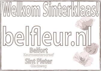 Bloemenhandel Belfleur